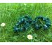 Scrunchies gumička kvietky na zelenej, mini