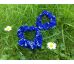 Scrunchies gumička kvietky na modrej, mini